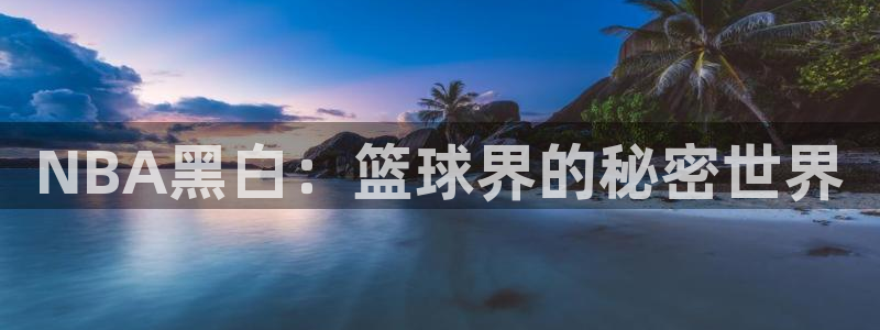 蜘蛛直播体育nba：NBA黑白：篮球界的秘密世界