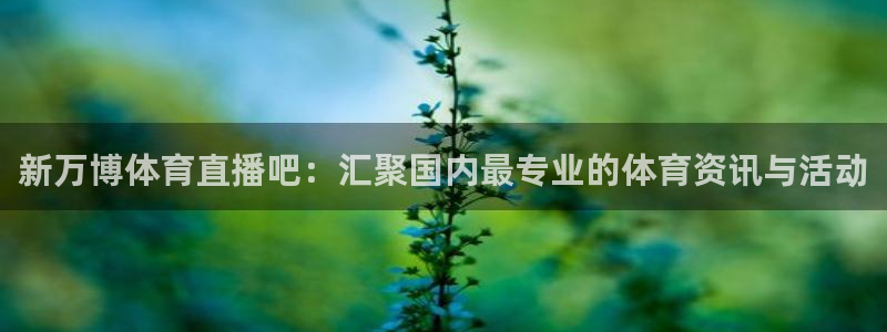 蜘蛛直播nba免费观看篮球：新万博体育直播吧：汇聚国内最专业的体育资讯与活动